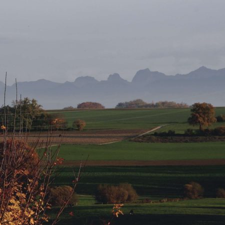 Jordil Bibera 03